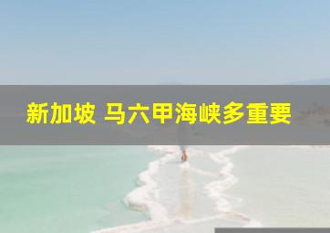 新加坡 马六甲海峡多重要